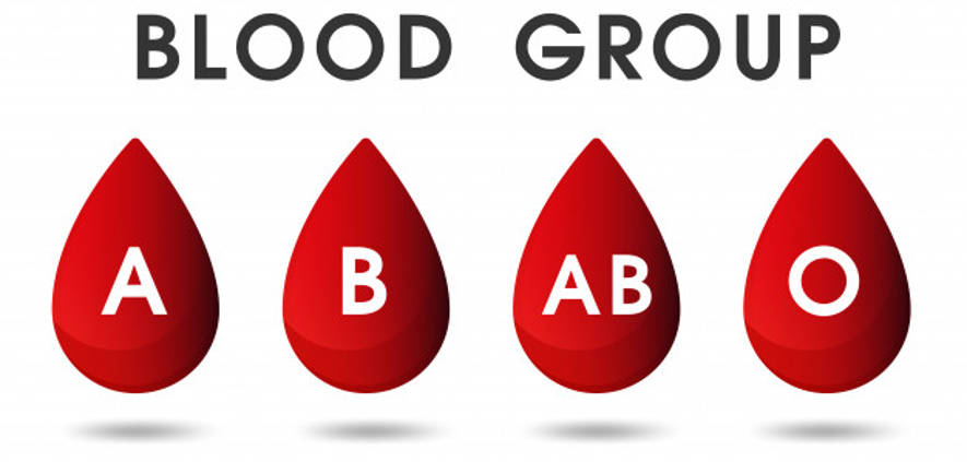 COMPATIBILIDAD ENTRE GRUPOS SANGUÍNEOS COMPATIBILIDAD ENTRE GRUPOS SANGUÍNEOS